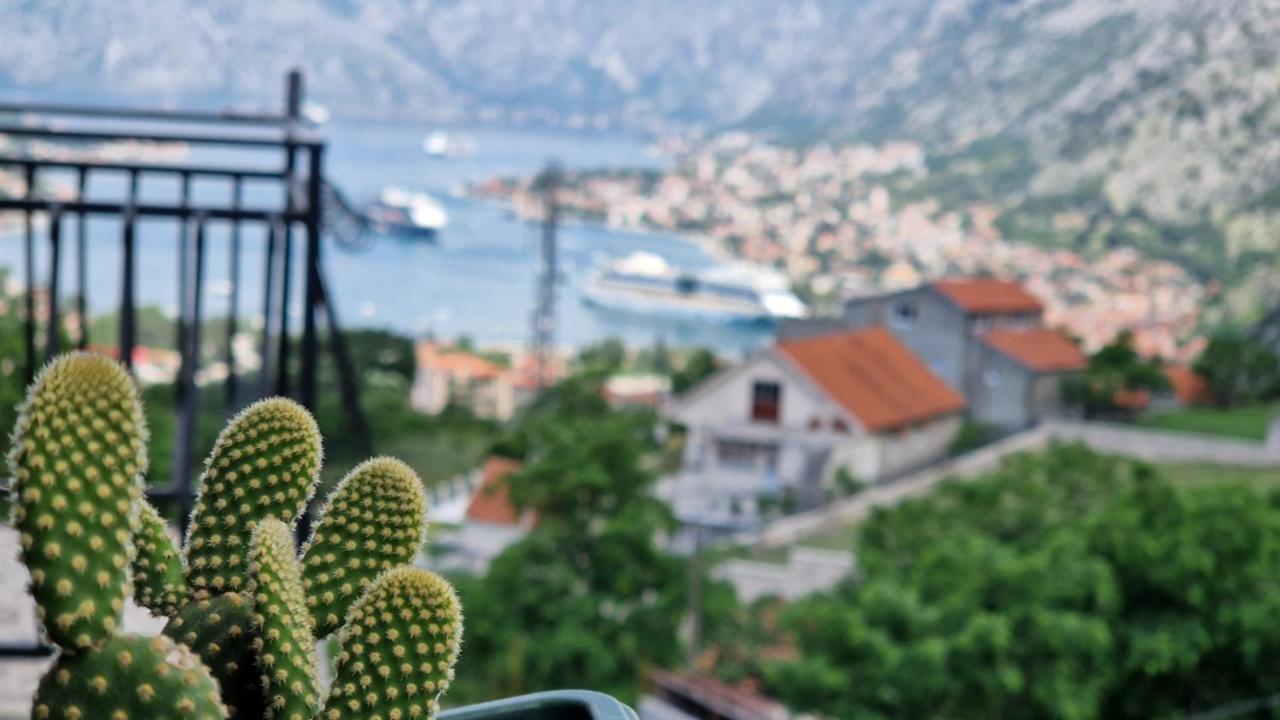 Anastasija 2 Leilighet Kotor Eksteriør bilde
